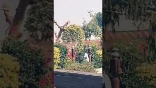 #lalhaveli#jampur #shorts #youtube #shortsvideo #shortvideo #techshorts #trending #how #viralvideo
