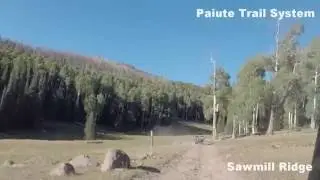 Sawmill Ridge on the Paiute Trail - Ben Nitch