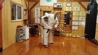 Seidokan Saturday 148, 5th kyu Green belt w stripe, Pinan Sandan bunkai final thoughts