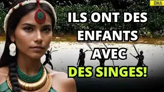 Le Côté Obscur de SENTINEL DU NORD, L’ÎLE Où il se Passe des Choses TRÈS ÉTRANGES…