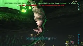 Meshers