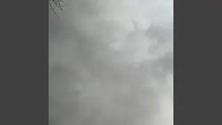 Rain on the Terrace