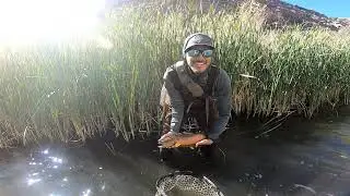 RZR guided Flyfishing trip