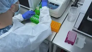 Monkeypox updates: Latest case numbers in Texas