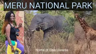 Least Visited and Least Spoiled of Kenya&rsquo;s Meru  National Park.