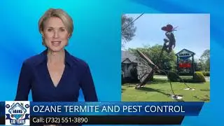 Termite Control Toms River NJ
