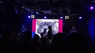 Scarlet Horizon (绯色地平线) - 流浪猫舞会 (2025.3.1 HangZhou EchoSpace)