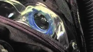 60 Second ScubaLab  IST Sports J-1200 Hydro D BC   Scuba Diving