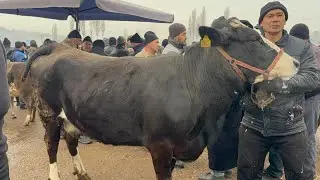 👁️BOZORDA BUGUN NARHLAR ZOR BOLDI NAMANGAN TERGACHI MOL BOZORI 2026_01_30_yanvar.