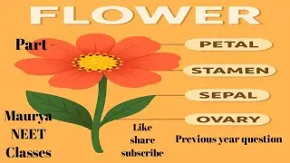 Morphology PYQ NEET #biology #botany #mauryasir #neet #neetbiology #education #morphology #top 