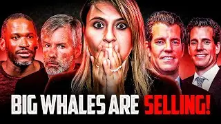 Bitcoin Whales SELLING $50B Worth of Coins