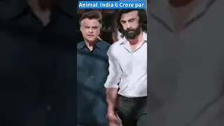 Animal Advance Booking Report 5 | Animal 1st Day Advance Booking Gross |#animal #shorts