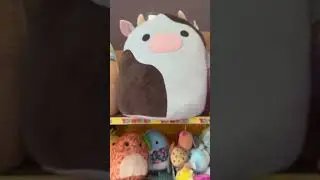 CUTEST 5