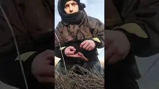 cliff fishing for cod at ryhope