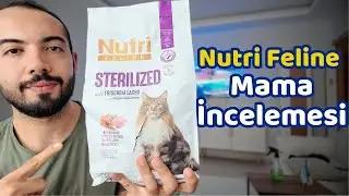 Nutri Feline Kedi Maması İncelemesi (G&Uuml;NCELLENMİŞ VERSİYON)