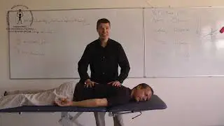 🪡 Manipulate Qi Like a Pro