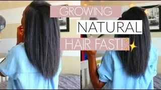 HOW TO: Grow Out your NATURAL HAIR! Tips & Tricks