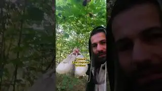 #shorts самые Гангстерские ботинки показывает D'yadya J.i. (Дядя Джей Ай) #rap #music