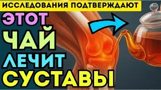 Чай, который восстанавливает суставы &mdash; доказано наукой!