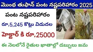 Montha Cyclone crop damage compensation money released 2025 | మొంథ తుఫాన్ పంట నష్టపరిహారం డబ్బులు జమ