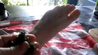 How to Make a Comfrey Compress | Sprained Ankle