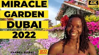 [4K] Miracle Gardens Dubai 2022