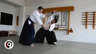 Shomen uchi Ikkyo Omote