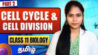 Cell Cycle and Cell Division Part 2 Class 11 biology | Mitosis | NCERT Chapter 10 | NEET Tamil