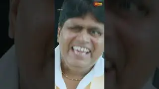 😅 | Ruler | Vedhika | Prakash Raj | Telugu Comedy scene