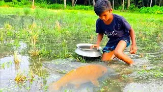 amazing hand fishing videos  - Smart boy catching carp fish by hand from mud water part - 36