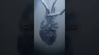 #рек