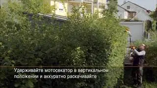 Аккумуляторные удлиненные ножницы STIHL HLA 65,  рез над головой с наклоненным ножом