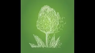 Food Safety and Traceability Immersive Video