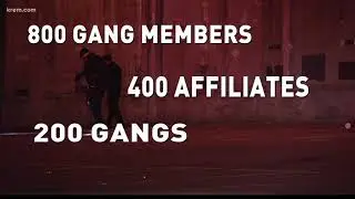 Study says there are at least 800 gang members in Spokane