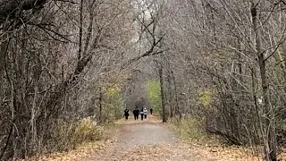 Hike at Kay Gardner Beltline Trail