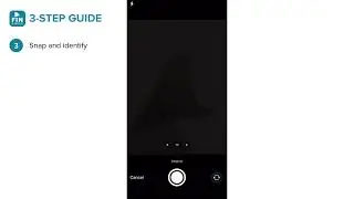 Fin Finder Mobile App