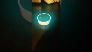 *Amazon Echo goes crazy* must see vido