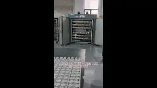 Factory-Direct B2B Electronics 🛠️ Power Supplies, Inverters & Industrial Gear!​ Exclusive for manuf