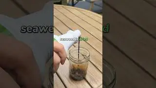 How Is Seaweed Fertilizer Made? #shorts