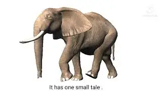 model talk - Elephant ,easy lines about an elephant ,model talk of an elephant