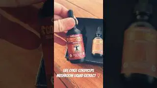 Life Cykel Cordyceps Mushroom Liquid Extract 🍄🔥 #lifecykel #mushroom #cordyceps #shorts