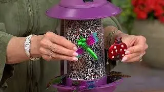 Temp-tations Outdoors Solar Bird Feeder w/ Interchangeable Critter Icons on QVC