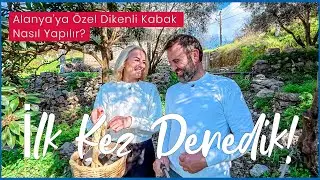 İlk Kez Denedik! Alanya’ya Özel Dikenli Kabak Nasıl Yapılır?