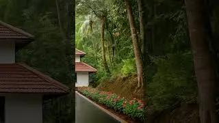 Heritage Home in the Green Canopy #shorts