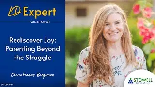 Rediscover Joy: Parenting Beyond the Struggle - Cherie Francis-Boegeman