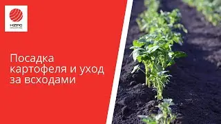 Вебинар 