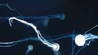 The Healing Blue: Deeply Relaxing Music for Meditation & Restorative Sleep