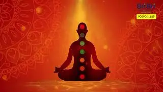 Nadi Pariksha - an ancient and accurate method of pulse diagnosis | 9059041149