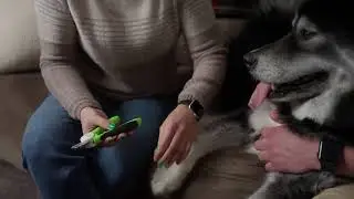 Trim Your Dog's Nails With Mighty Paw's Dog Nail Clippers + BONUS Nail File