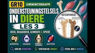Lewenswetenskappe GR10 Ondersteuningstelsels in Diere Les3